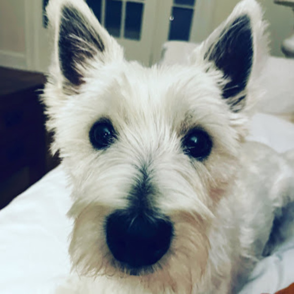 westiegrl22